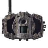 BolyGuard MG984G-36M Viltkamera